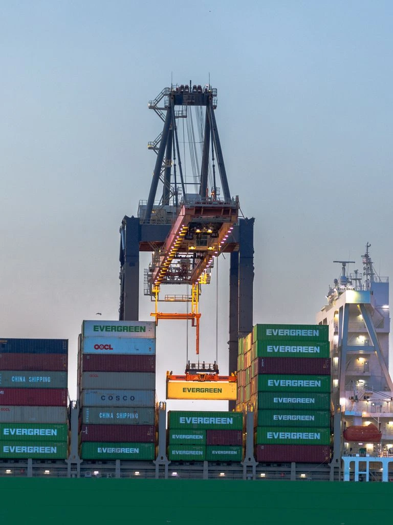 Container port terminal with stacked containers and gantry cranes